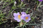 IMG 3895
