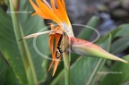 IMG 4091