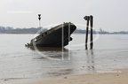 IMG 4239
