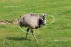 IMG 7538