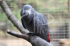 IMG 7637