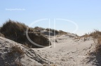 IMG 9687
