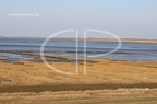 IMG 9745
