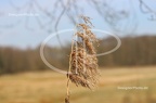 IMG 9833